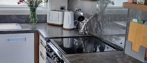 Cabin | Private kitchen | Fridge, microwave, oven, stovetop