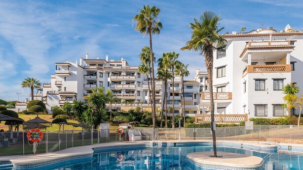 A swimming pool with a geometric tile design, surrounded by palm trees and a white building with balconies.