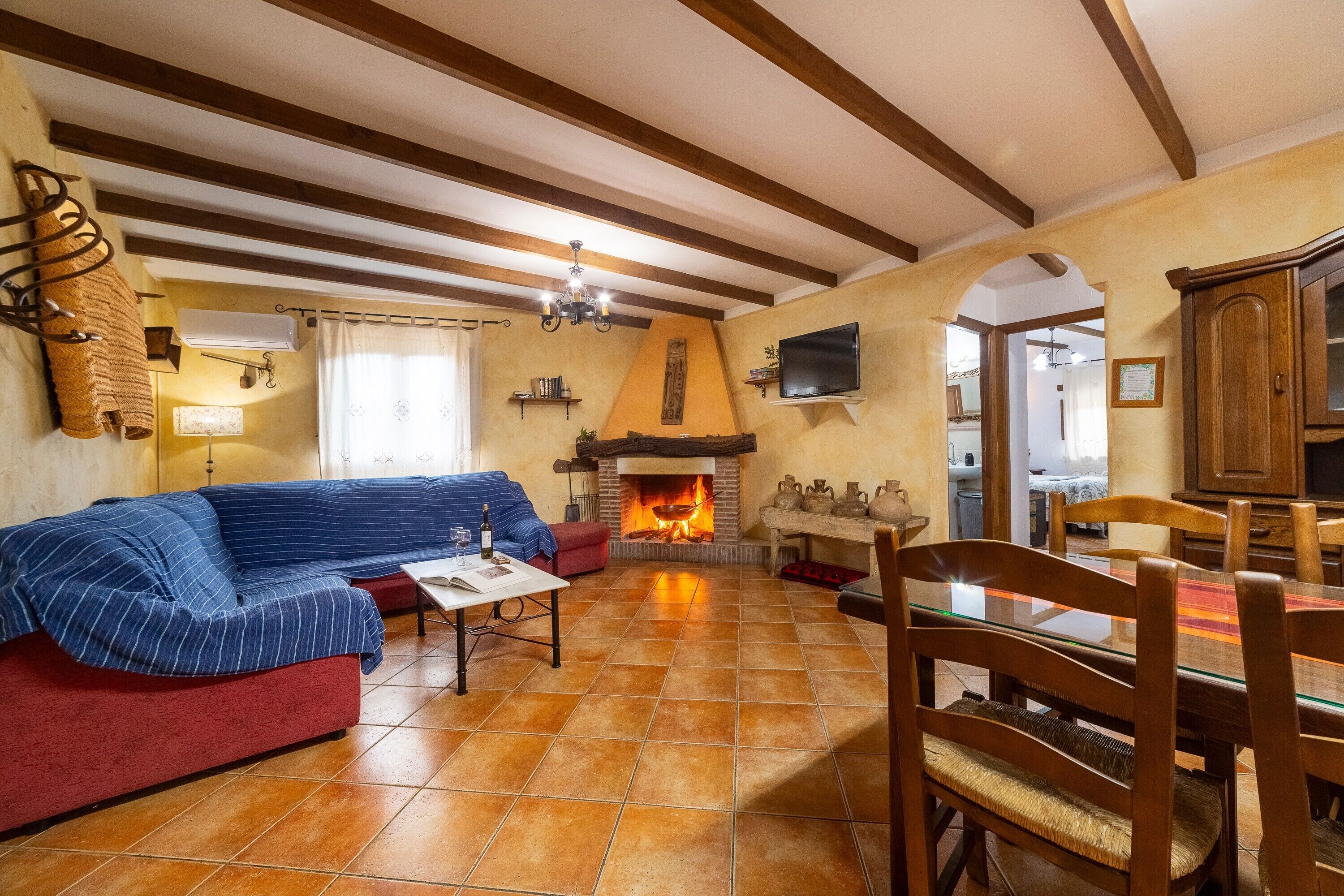 TV, fireplace