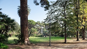 Un parc avec des arbres, un lampadaire et un ciel dégagé.
