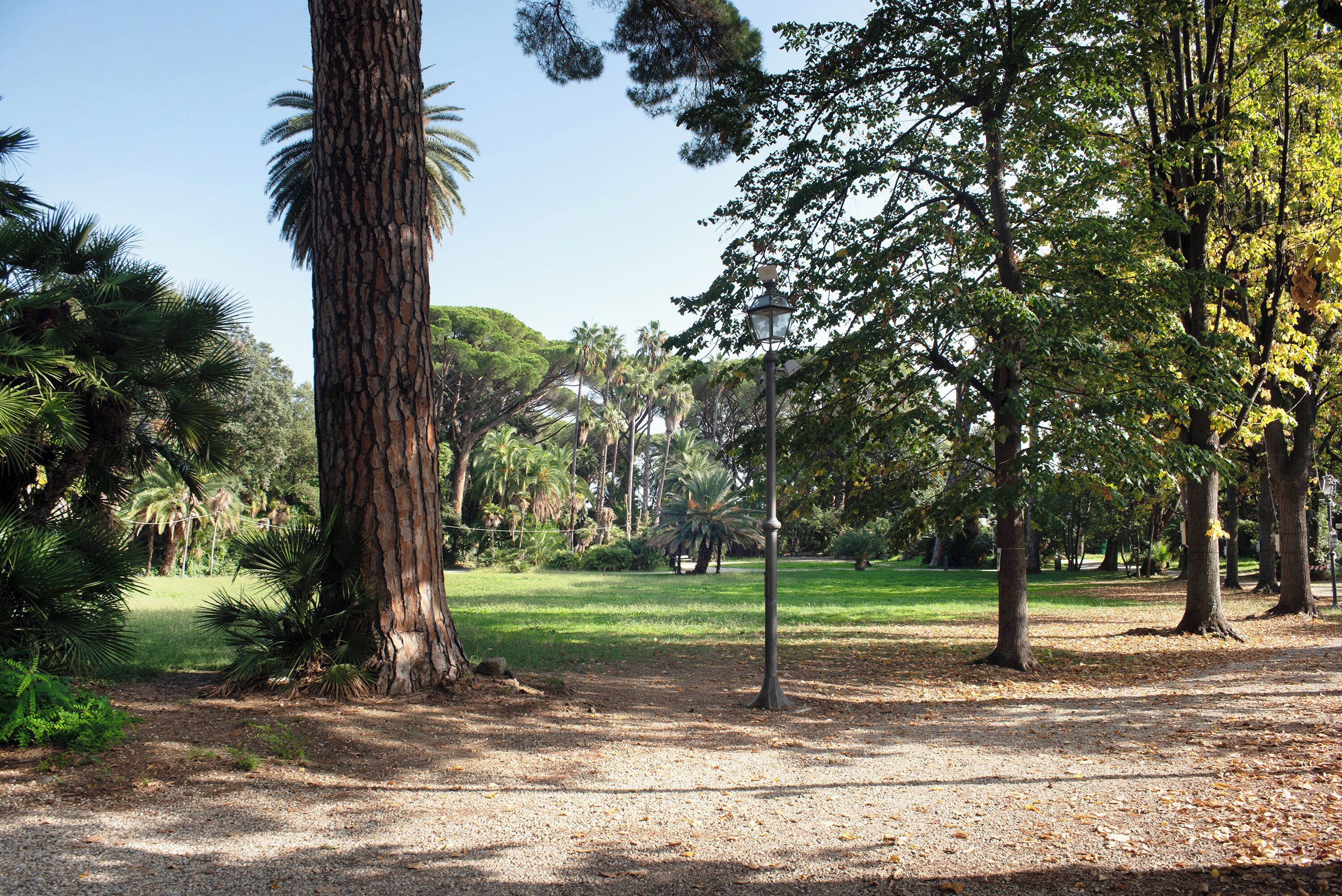 Parco della struttura