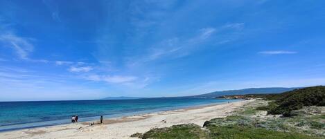 Playa en los alrededores