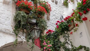 Un estrecho callejón con paredes de piedra blanca, flores rojas en macetas y un farol.