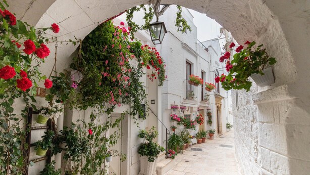 Un estrecho callejón con edificios blancos, plantas en macetas y flores colgantes.