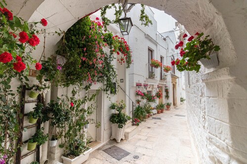 Apartment 'Il Giardino' with Private Terrace, Private Garden and Wi-Fi