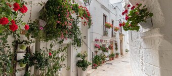 Apartment 'Il Giardino' with Private Terrace, Private Garden and Wi-Fi