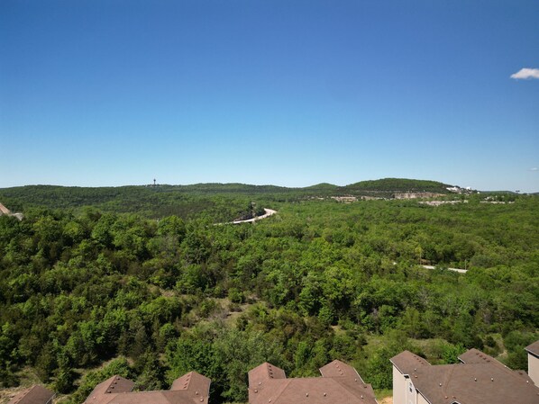 A view of a forested area with buildings in the foreground.
