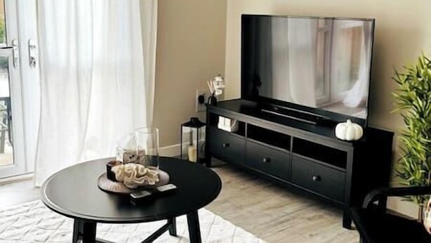 A living room with a flat-screen TV, a coffee table, and a plant.