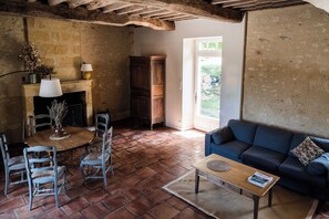 Smart TV, chimenea, libros, monitor de computadora