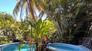 A swimming pool surrounded by tropical plants and a stone wall.