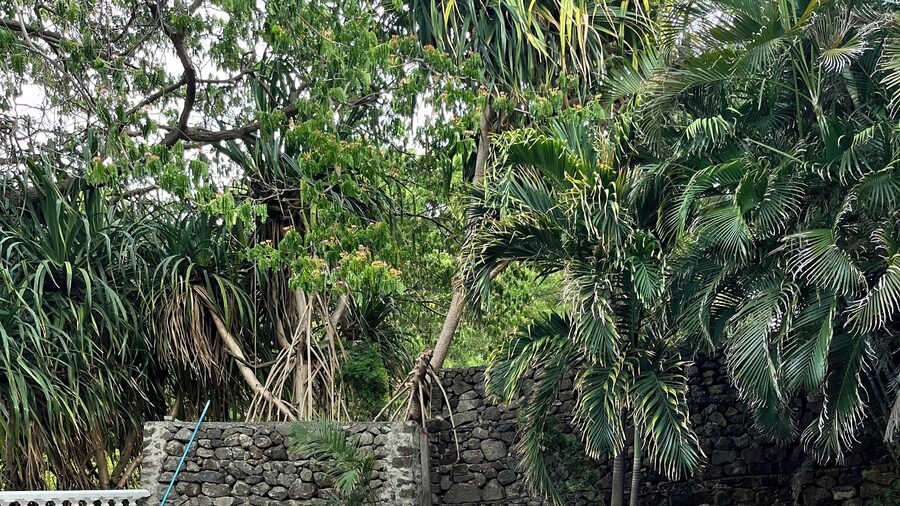 Hotel-Selvazul Laguna Apoyo