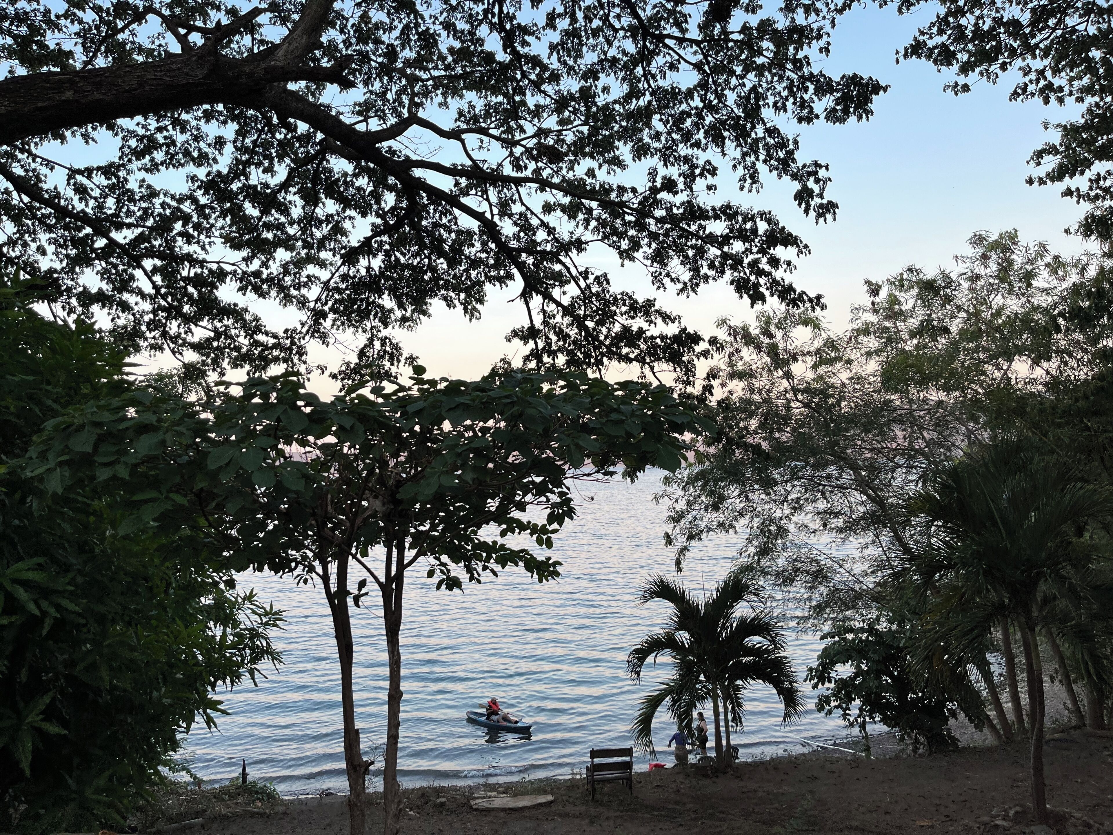 A serene lakeside view with trees, a bench, and a distant person rowing a boat.