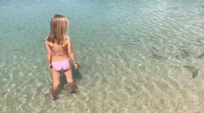 Sun-loungers - 4 Bedroom Private vacation home in Pievebovigliana (Pievebovigliana)