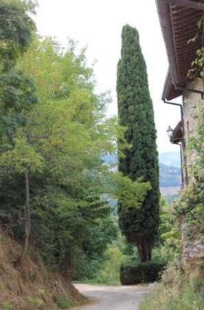 Property grounds - 4 Bedroom Private vacation home in Pievebovigliana (Pievebovigliana)