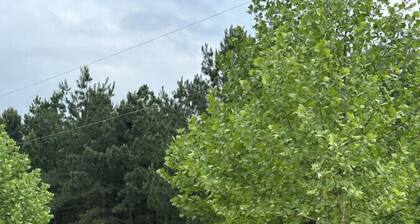 Nordin`s Escape Spot for Your Camper/RV #5- Adventure Awaits!