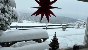 A snowy landscape with a wooden bench and a small Christmas tree by a window. - Haus Aktiv Winterberg, Garten Apartment, Www.haus-aktiv.de - 2-6 Personen (Winterberg)