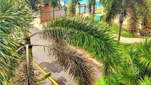 Zona residencial con palmeras, piscina y casas.