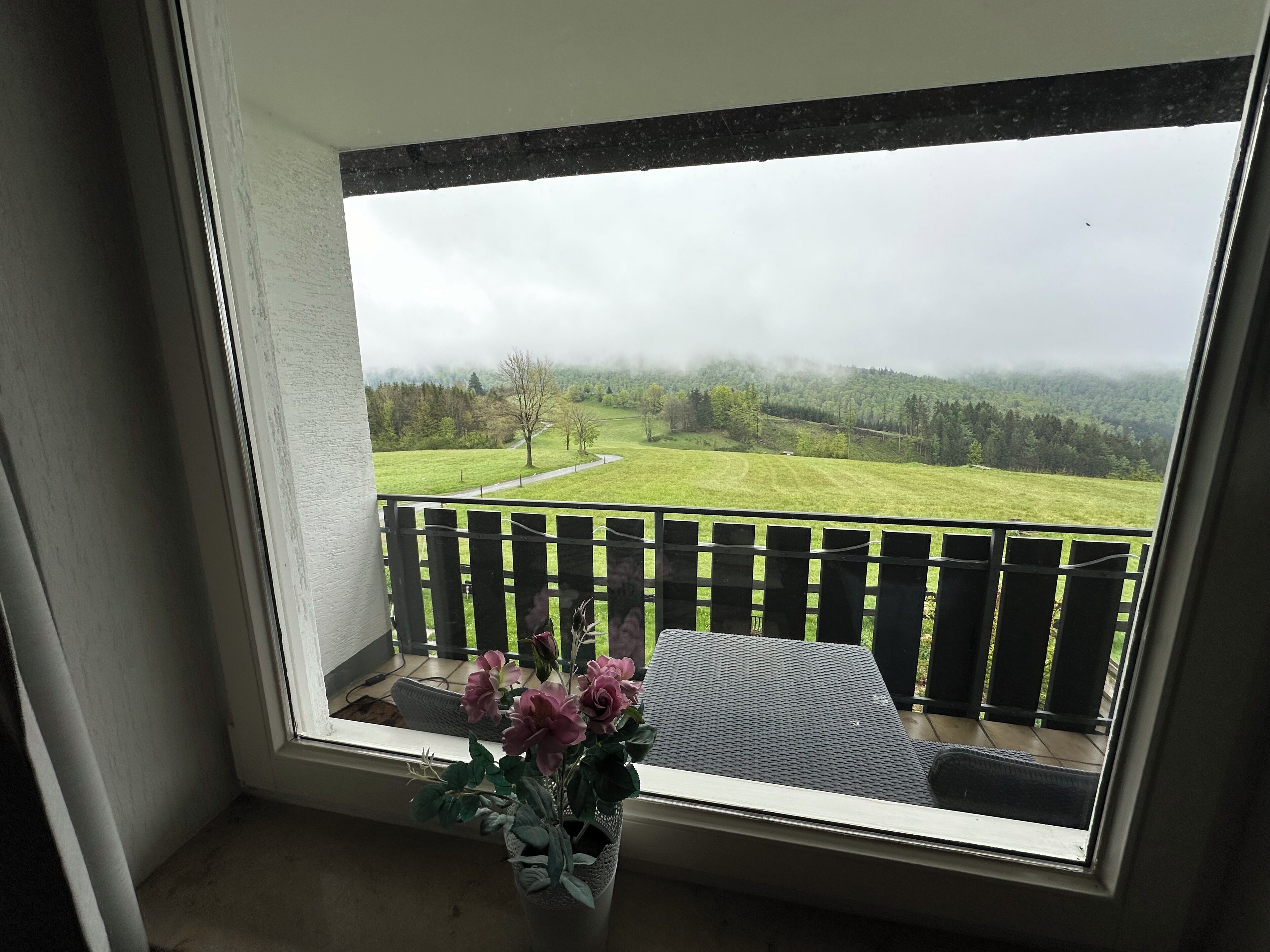 Ein Balkon mit Blick auf eine grüne Landschaft und einem Holgitter.