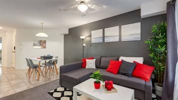 Smart TV, fireplace, books