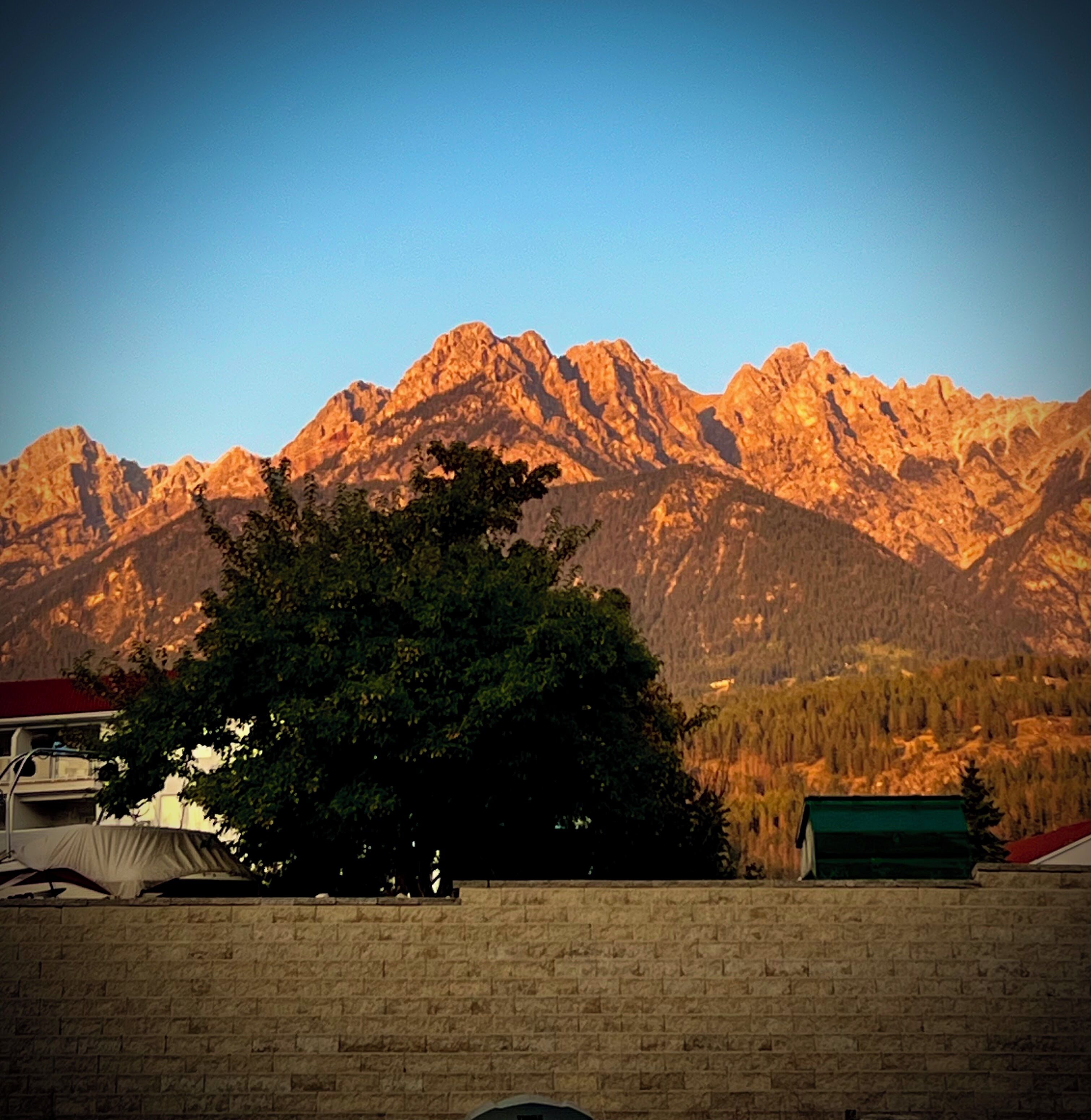 A mountain range with a tree in the foreground.