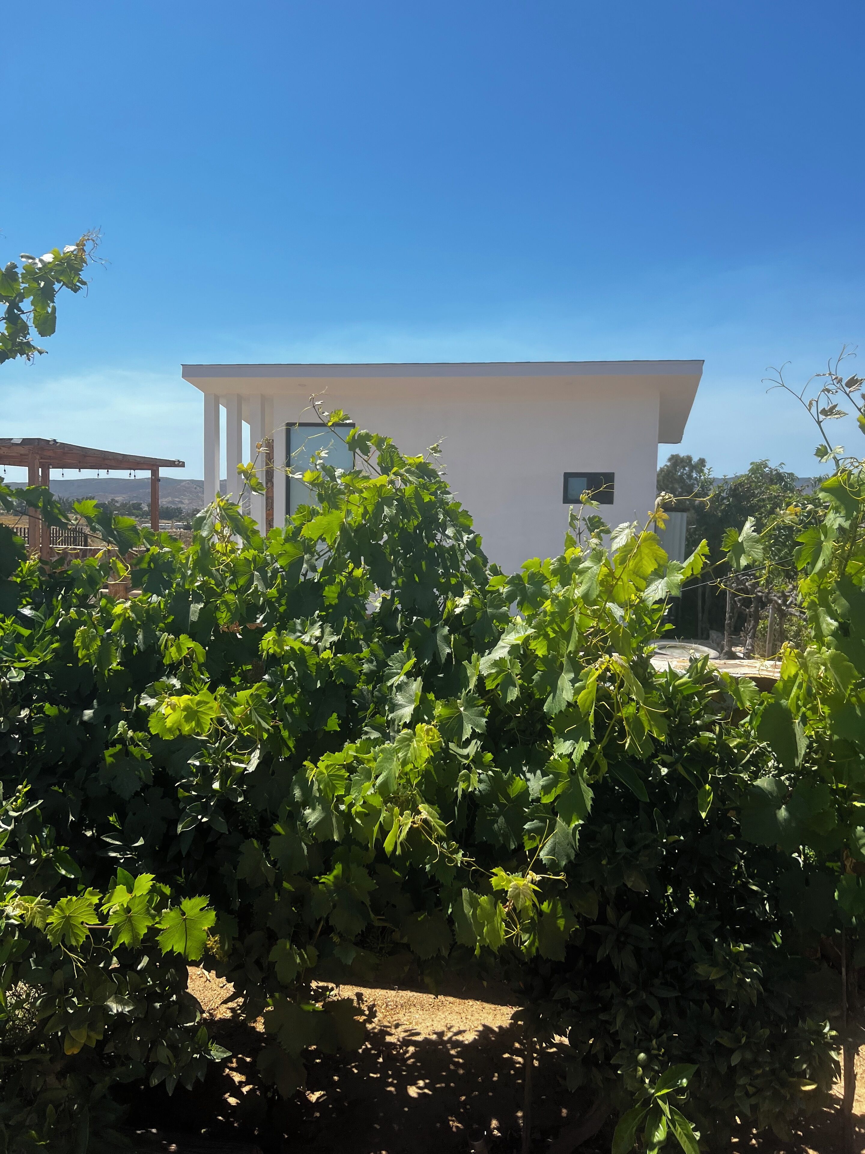 Overnatningsstedets område