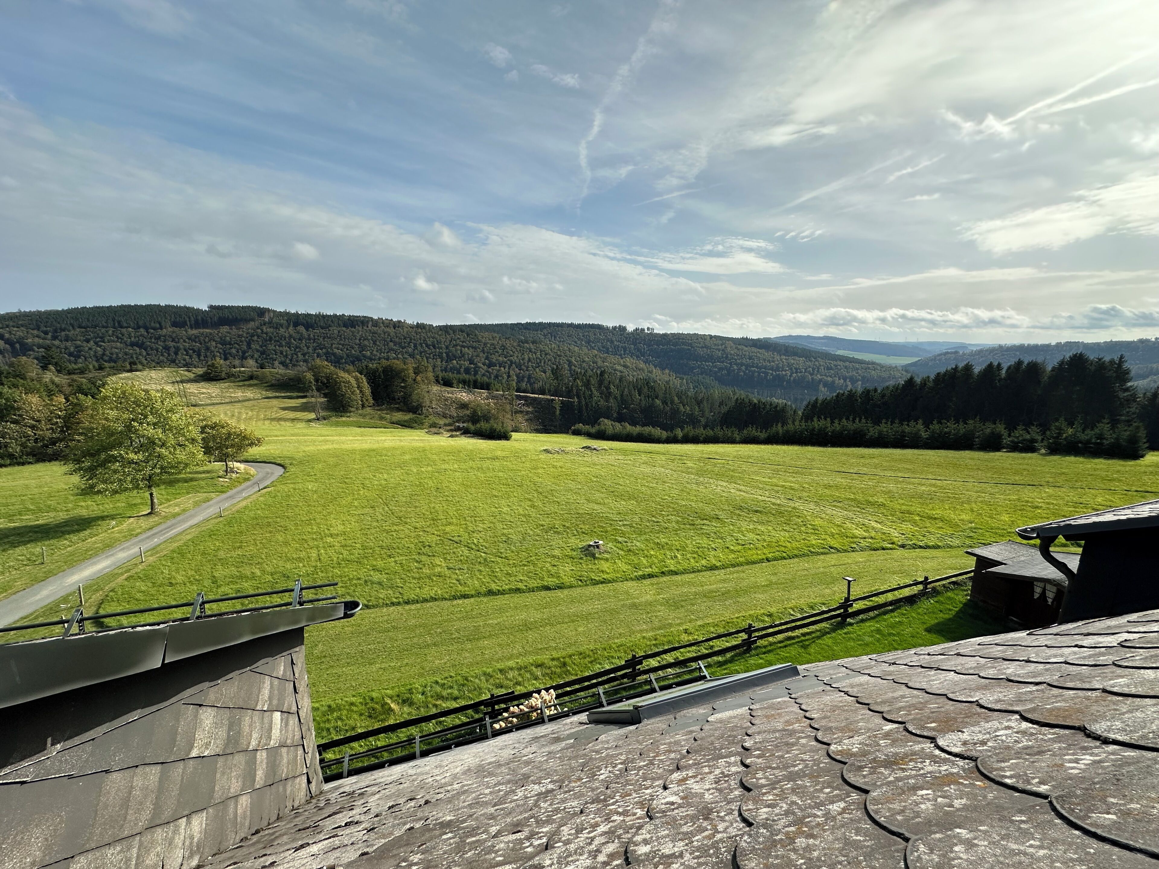 Blick auf ein grünes Feld mit einer Straße und einem Zaun.
