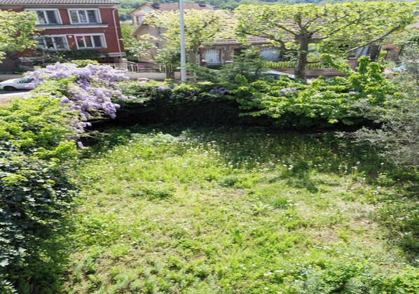 Stroll through a serene garden filled with a variety of lush plants and vibrant flowers.
