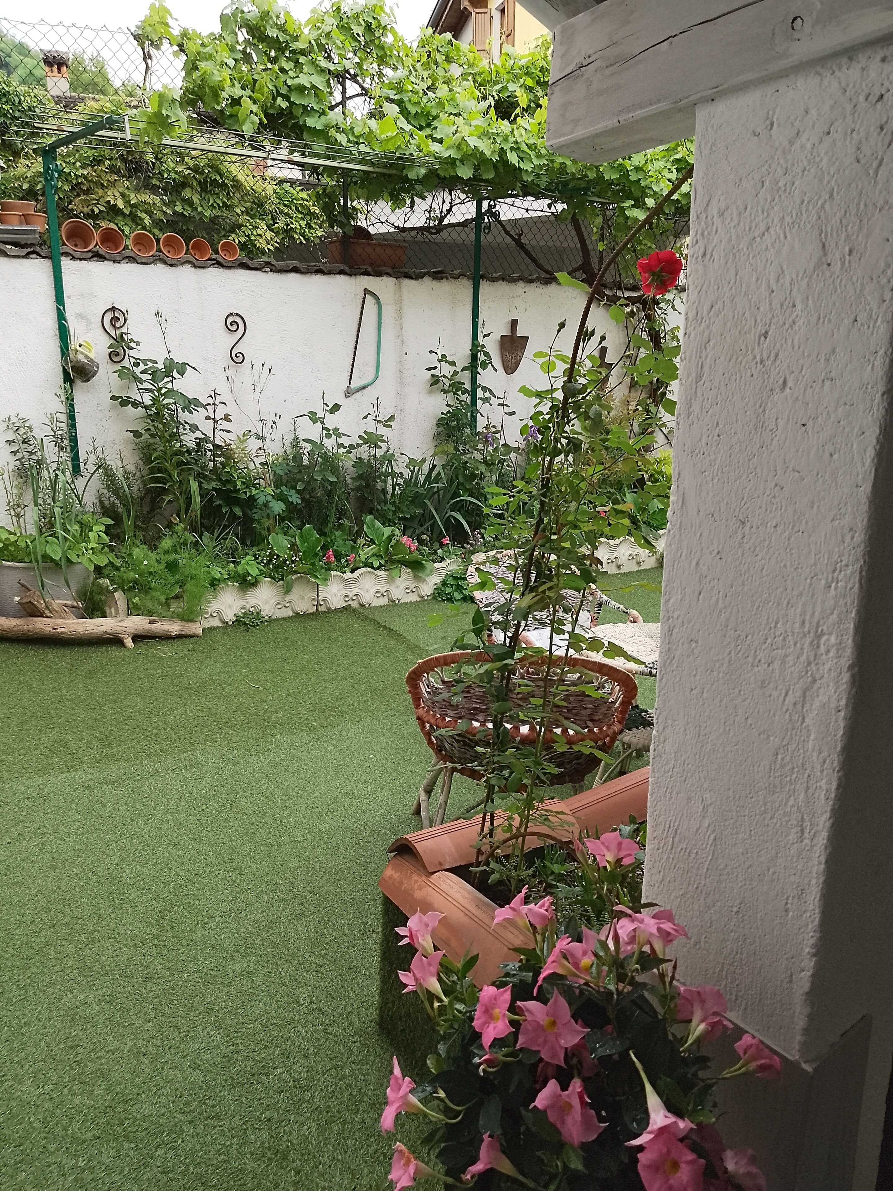 Parco della struttura