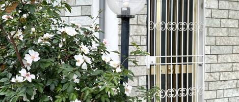 تفاصيل الفندق من الخارج