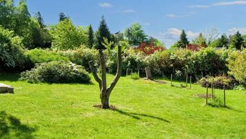 Nhà | Ngoại thất