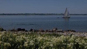 A calm lake with a sailboat, surrounded by a rocky shoreline and white flowers. - 4 Person Holiday Home in Aeroskobing (Aeroskobing)