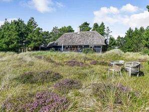 House | Exterior - 4 Star Holiday Home in Blavand (Blavand)