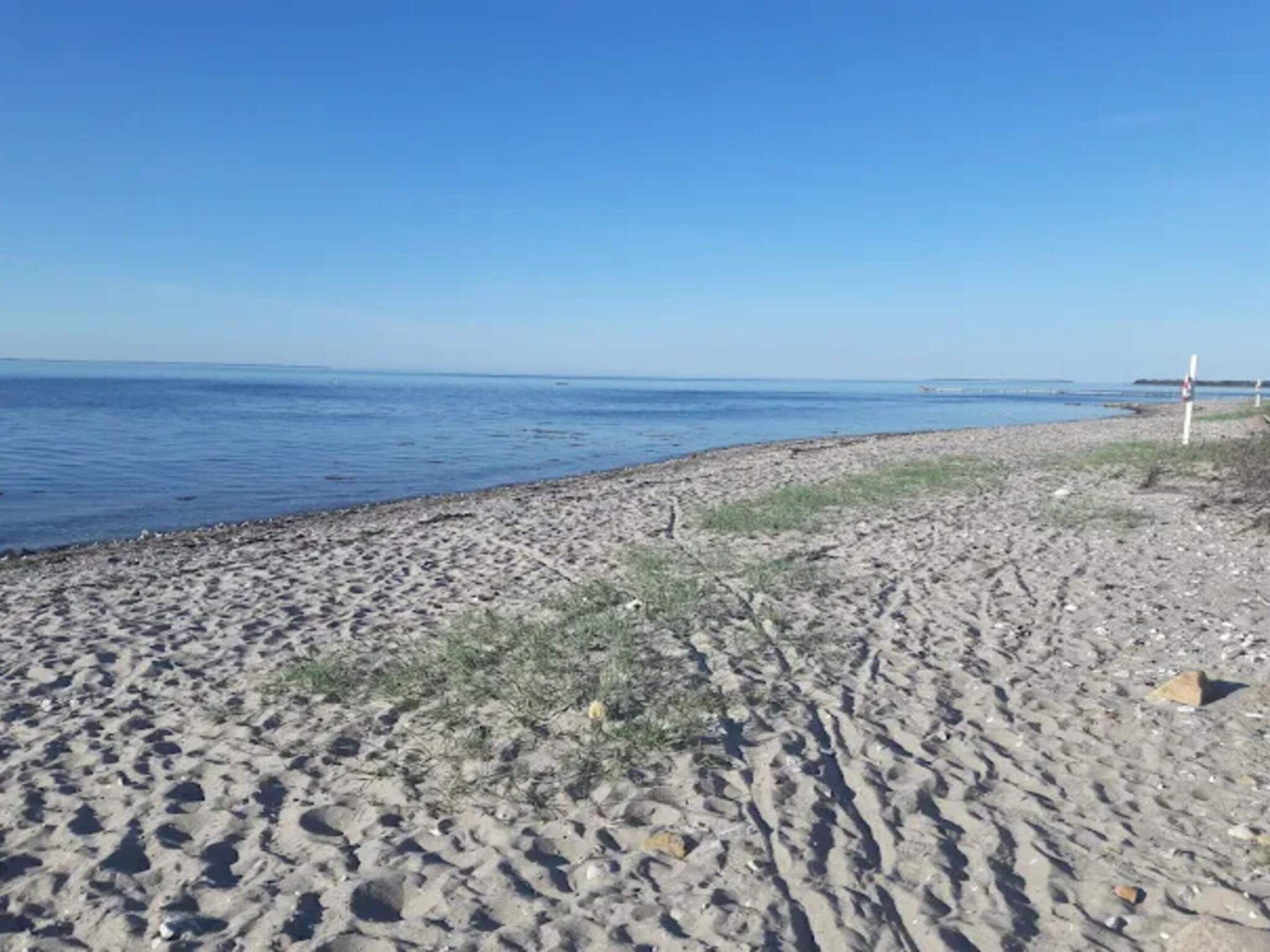 Una spiaggia sabbiosa con cielo azzurro e mare calmo.