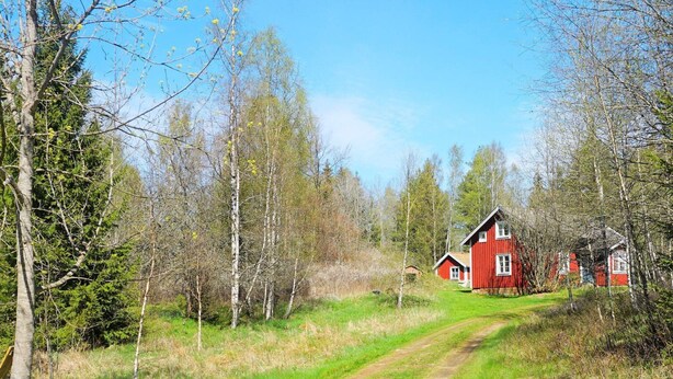 A rural setting with a dirt path leading to a red wooden house surrounded by trees. - 6 Person Holiday Home in Tingsryd-by Traum (Tingsryd)
