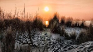 Un sentier qui mène à un point de vue sur un coucher de soleil au-dessus d’une plage de sable où la végétation est clairsemée.