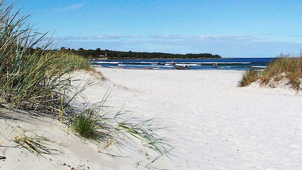 A beach with sand dunes and a clear view of the ocean. - Holiday Home With Nature Access (Nexø)