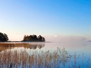 House | Miscellaneous