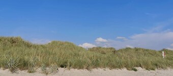 12 Person Holiday Home in Rodby