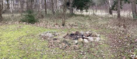 House | Fireplace