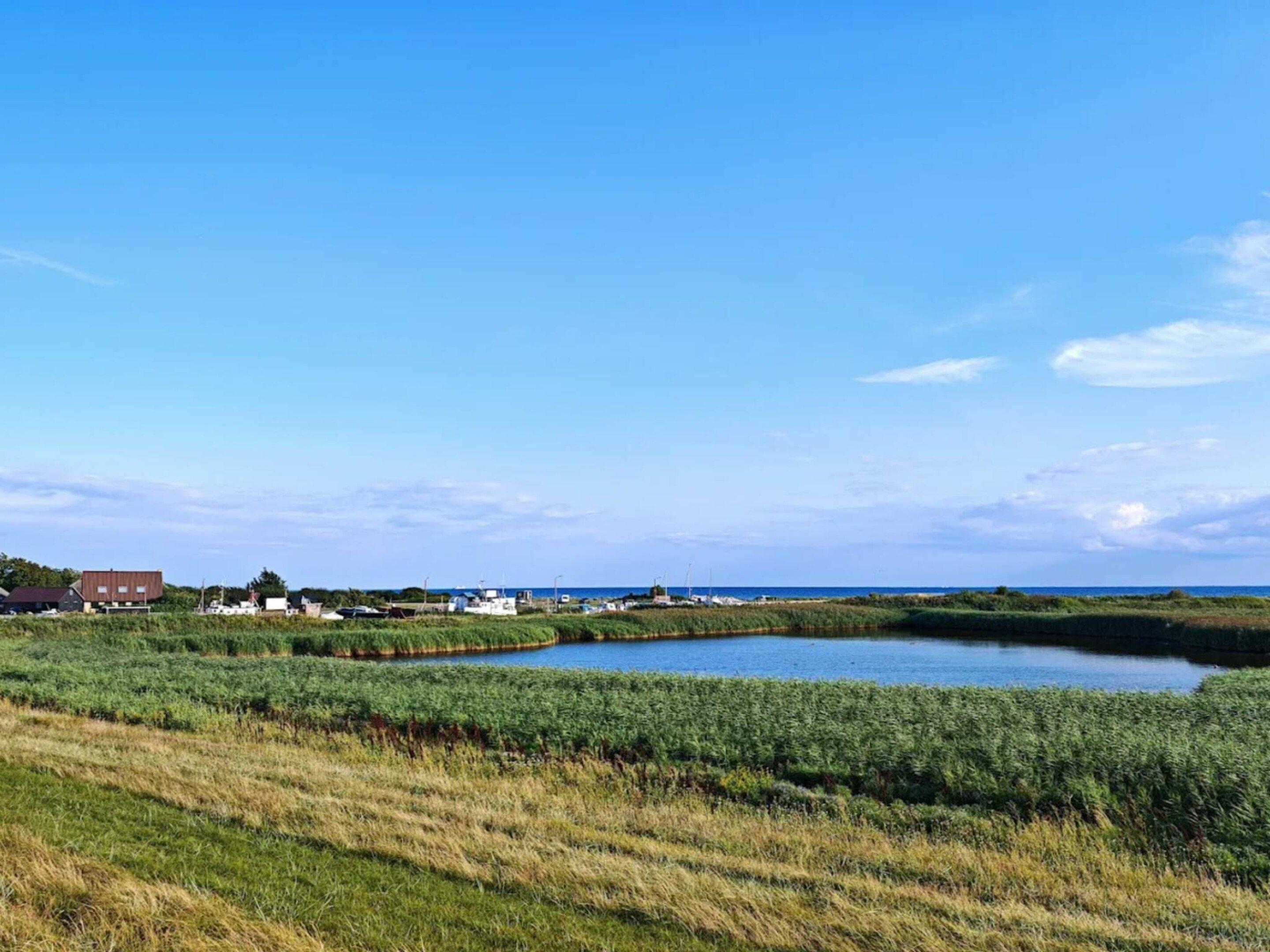 Paesaggio costiero con una piccola distesa d'acqua, vegetazione verde e alcuni edifici in lontananza.