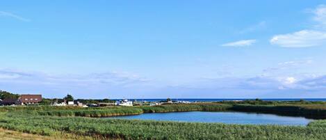 Paesaggio costiero con una piccola distesa d'acqua, vegetazione verde e alcuni edifici in lontananza.