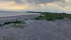 A beach with a pebbly shore and grassy dunes. - 12 Person Holiday Home in Rodby (Rodby)