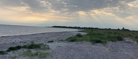 A beach with a pebbly shore and grassy dunes.