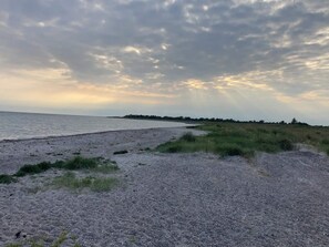 A beach with a pebbly shore and grassy dunes. - 12 Person Holiday Home in Rodby (Rodby)