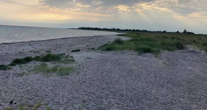 12 Person Holiday Home in Rodby