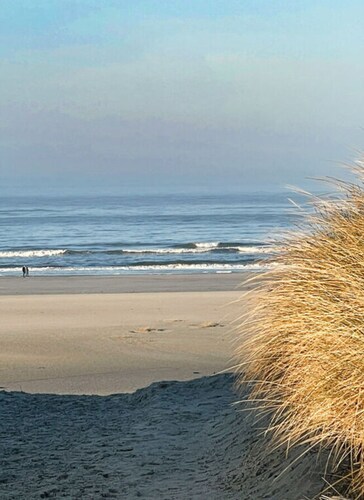 Holiday Apartment Cabin 53deg