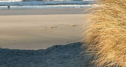 Holiday Apartment Cabin 53deg