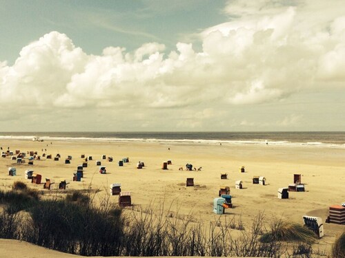 Holiday Apartment Cabin 53deg