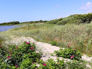 A coastal landscape with a sandy beach, dense greenery, and a clear blue sky. - 3 Person Holiday Home in Traslovslage (Träslövsläge)