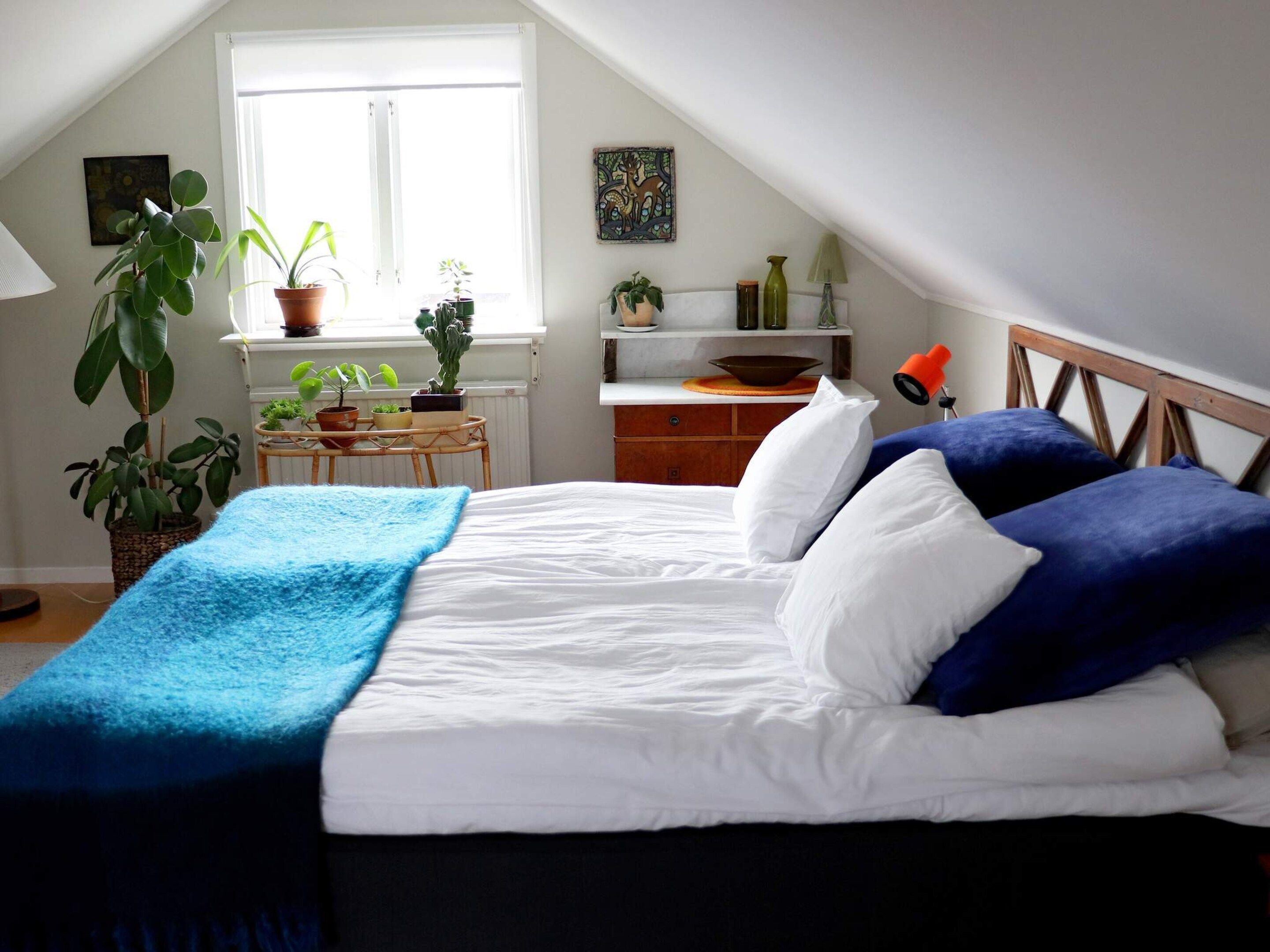 Ein Schlafzimmer mit einem Bett, Kissen, einer blauen Decke, einem Fenster und Topfpflanzen.
